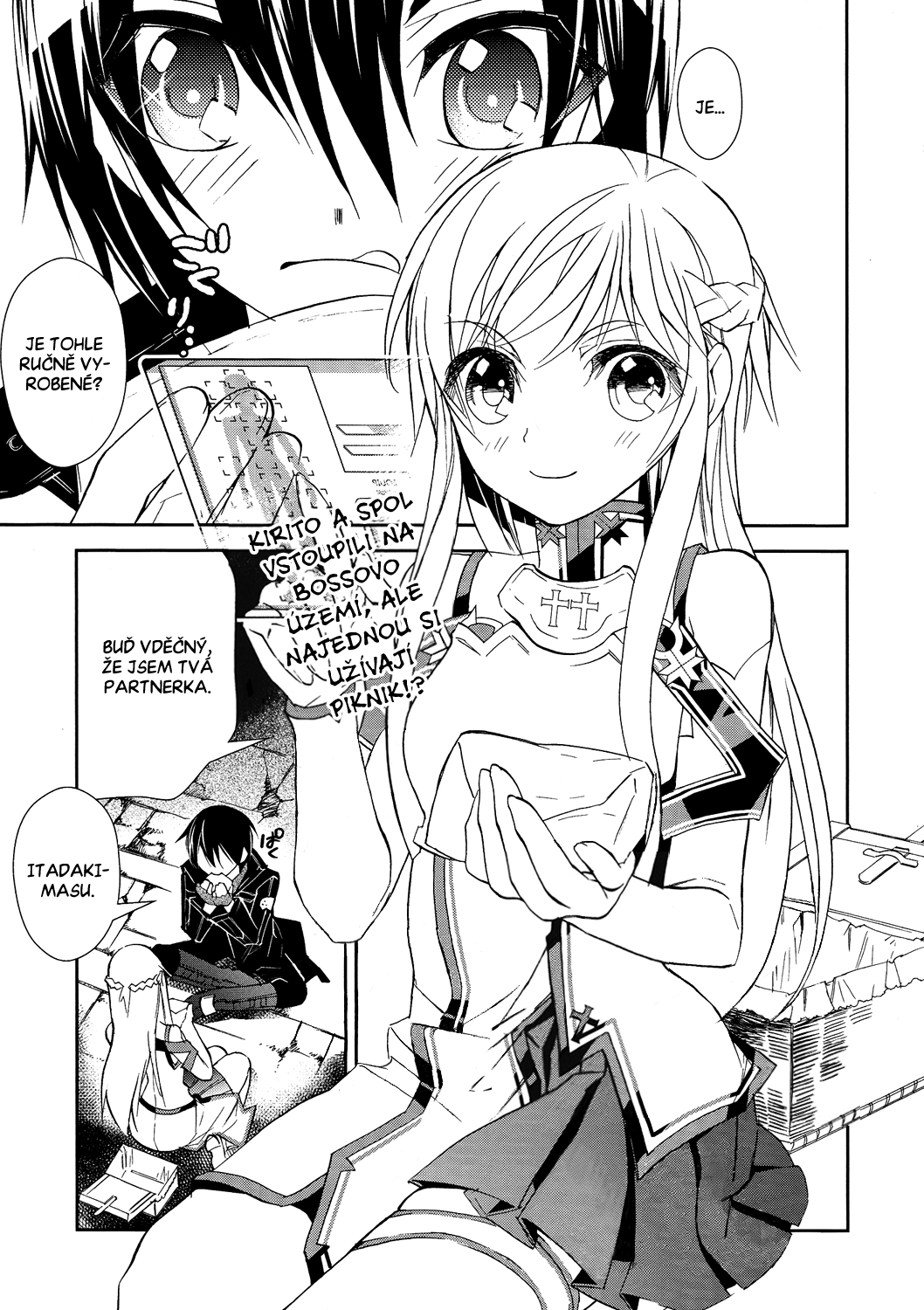 SAO_c05_001 kopie.png